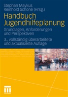 Stepha Maykus, Stephan Maykus, Schone, Schone, Reinhold Schone - Handbuch Jugendhilfeplanung