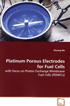 Shuang Ma - Platinum Porous Electrodes for Fuel Cells