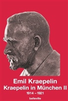 Emil Kraepelin, Wolfgang Burgmair, Eric Engstrom, Florian Holsboer, M. Weber, Matthias M. Weber - Kraepelin in München II. Bd.2
