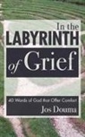 Jos Douma - In the Labyrinth of Grief