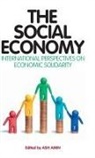 Ash Amin, Ash Amin - The Social Economy