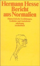 Hermann Hesse, Volker Michels - Bericht aus Normalien