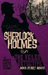 David Stuart Davies, David Stuart Davies - Further Adventures of Sherlock Holmes: The Veiled Detective