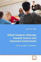 Fulya Cürebal Sö üt, Fulya Cürebal Sögüt - Gifted Students' Attitudes towards Science and  Classroom Environment