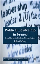 J Gaffney, J. Gaffney, John Gaffney - Political Leadership in France