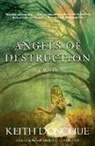 Keith Donohue - Angels of Destruction