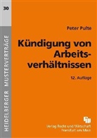 Peter Pulte - Kündigung von Arbeitsverhältnissen