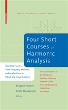 Forste, Brigitt Forster, Brigitte Forster, Brigitte Forster-Heinlein, Massopus, Massopust... - Four Short Courses on Harmonic Analysis