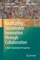 James J. Cordeiro, Jame J Cordeiro, James J Cordeiro, Joseph Sarkis, Diego Vazquez Brust - Facilitating Sustainable Innovation through Collaboration