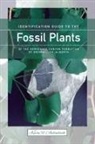 Kevin Aulenback, Kevin R. Aulenback - Identification Guide to the Fossil Plants of the Horseshoe Canyon Formation of Drumheller, Alberta (New)