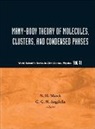 Angilella Giuseppe G N, G. G. N. Angilella, Giuseppe G. N. Angilella, N. H. March, Norman H. March - Many-Body Theory of Molecules, Clusters and Condensed Phases
