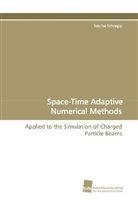 Sascha Schnepp - Space-Time Adaptive Numerical Methods