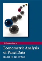 Baltagi, Badi H Baltagi, Badi H. Baltagi, Baltagi Badi H. - Companion to Econometric Analysis of Panel Data