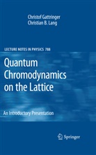 Christo Gattringer, Christof Gattringer, Christian B Lang, Christian B. Lang - Quantum Chromodynamics on the Lattice