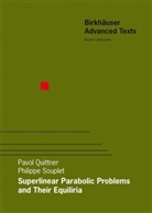 Pavo Quittner, Pavol Quittner, Philippe Souplet - Superlinear Parabolic Problems
