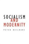 Peter Beilharz, Beilharz Peter - Socialism and Modernity