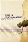 Cary Wolfe - What Is Posthumanism?