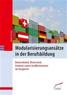 Matthias Pilz, Matthias Pilz - Modularisierungsansätze in der Berufsbildung