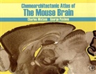 George Paxinos, George Watson Paxinos, Charles Watson - Chemoarchitectonic Atlas of the Mouse Brain