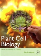 Randy Wayne, Randy O. Wayne, Randy O. (Department of Plant Biology Wayne - Plant Cell Biology