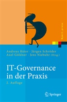 Axel Göldner, Axel Göldner u a, Jens Niebuhr, Andreas Rüter, Jürge Schröder, Jürgen Schröder - IT-Governance in der Praxis