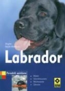 Brigitte Rauth-Widmann - Labrador Poradnik opiekuna