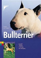 Gregor v. Dungen, Gregor von Dungen - Bullterrier
