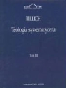 Paul Tillich - Teologia systematyczna Tom 3