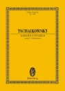 Peter Iljitsch Tschaikowsky, Thomas Kohlhase - Andante cantabile
