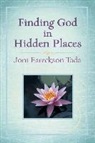 Joni Eareckson Tada, Moore - Finding God in Hidden Places