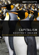 G Ingham, Geoffrey Ingham, Ingham Geoffrey - Capitalism