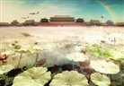Young Chinese Artists 1