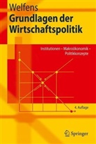 Paul J. J. Welfens - Grundlagen der Wirtschaftspolitik