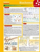 Biochemie im Überblick, Lerntafel