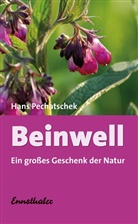 Hans Pechatschek - Beinwell