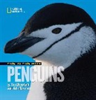 John Eastcott, Yva Momatiuk, Yva Momatuik, National Geographic Kids, John Eastcott - Face to Face With Penguins