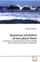 Emilie Marchandise - Numerical simulation of two phase flows