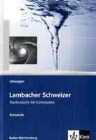 Manfre Baum, Marti Bellstedt, Dieter u a Brandt - Lambacher-Schweizer, Kursstufe Baden-Württemberg: 11./12. Schuljahr, Lösungen
