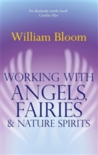 Dr. William Bloom, William Bloom - Working With Angels, Fairies and Nature Spirits