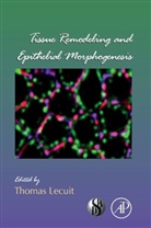 Thomas Lecuit, Thomas (EDT) Lecuit, Thomas Lecuit - Tissue Remodeling and Epithelial Morphogenesis