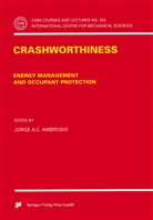 Jorge A C Ambrosio, Jorge A. C. Ambrosio, Jorge A.C. Ambrosio, Jorge A. C. Ambrósio - Crashworthiness