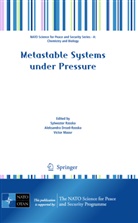 Aleksandr Drozd-Rzoska, Aleksandra Drozd-Rzoska, Victor Mazur, Sylwester Rzoska - Metastable Systems under Pressure