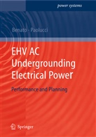 Robert Benato, Roberto Benato, Antonio Paolucci - EHV AC Undergrounding Electrical Power