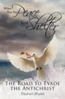 Vladimir Hrubik - When They Say Peace Seek Shelter