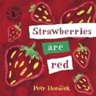 Petr Horacek, Petr Horácek, Petr Horácek - Strawberries Are Red