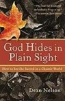 D Nelson, Dean Nelson - God Hides in Plain Sight