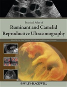 L Descoteaux, Luc (EDT)/ Colloton Descoteaux, Luc Colloton Descoteaux, Jil Colloton, Jill Colloton, Jill (Bovine Services USA) Colloton... - Atlas of Ruminant and Camelid Reproductive Ultrasonography