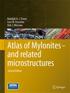 Cees Passchier, Cees W Passchier, Cees W. Passchier, Rudolph A Trouw, Rudolph A J Trouw, Rudolph A. J. Trouw... - Atlas of Mylonites - and related microstructures
