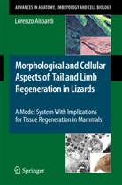 Lorenzo Alibardi - Morphological and Cellular Aspects of Tail and Limb Regeneration in Lizard