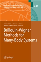 Ivan Hubac, Stephe Wilson, Stephen Wilson - Brillouin-Wigner Methods for Many-Body Systems
